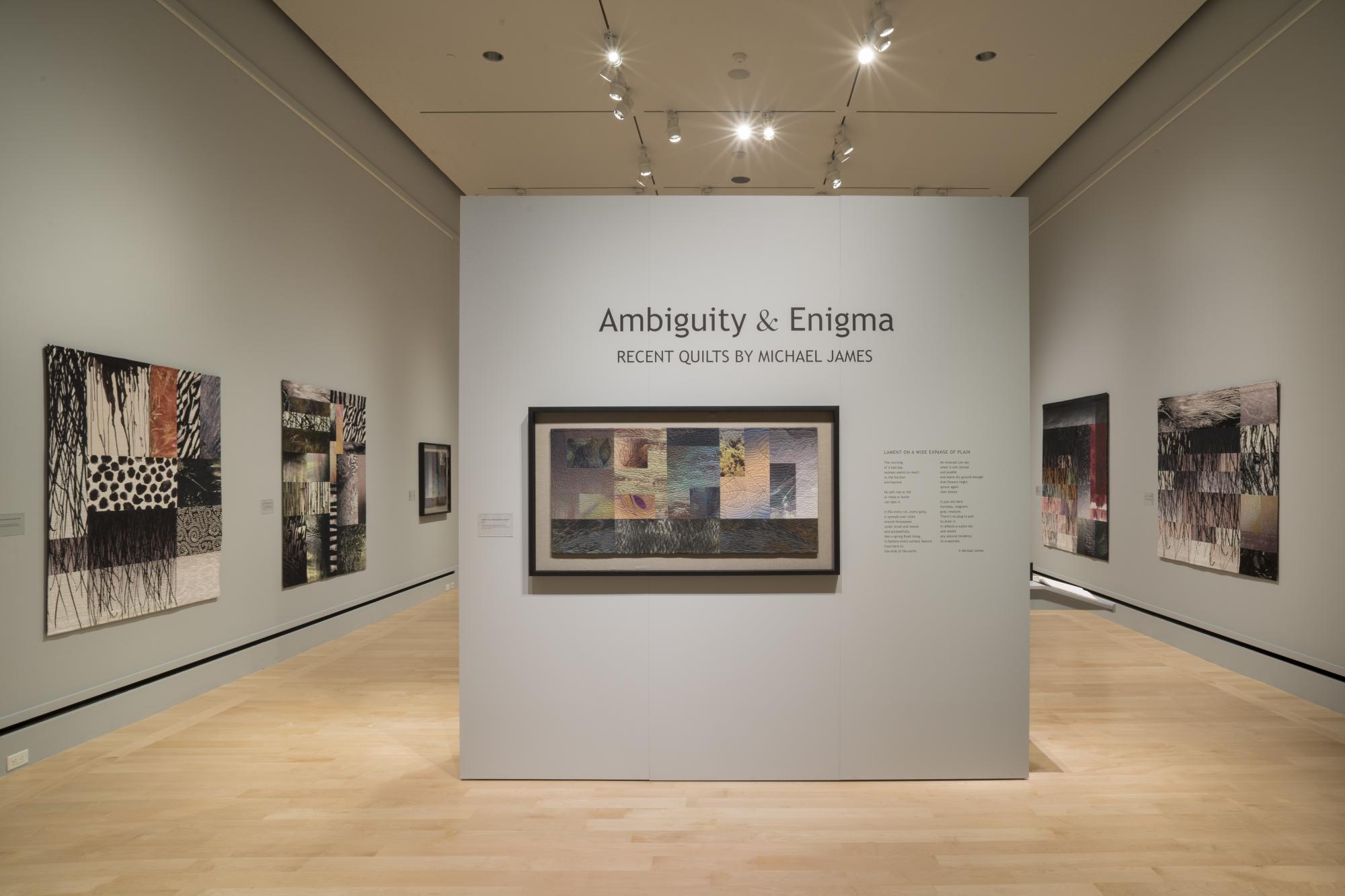 Ambiguity & Enigma: Recent Quilts by Michael James