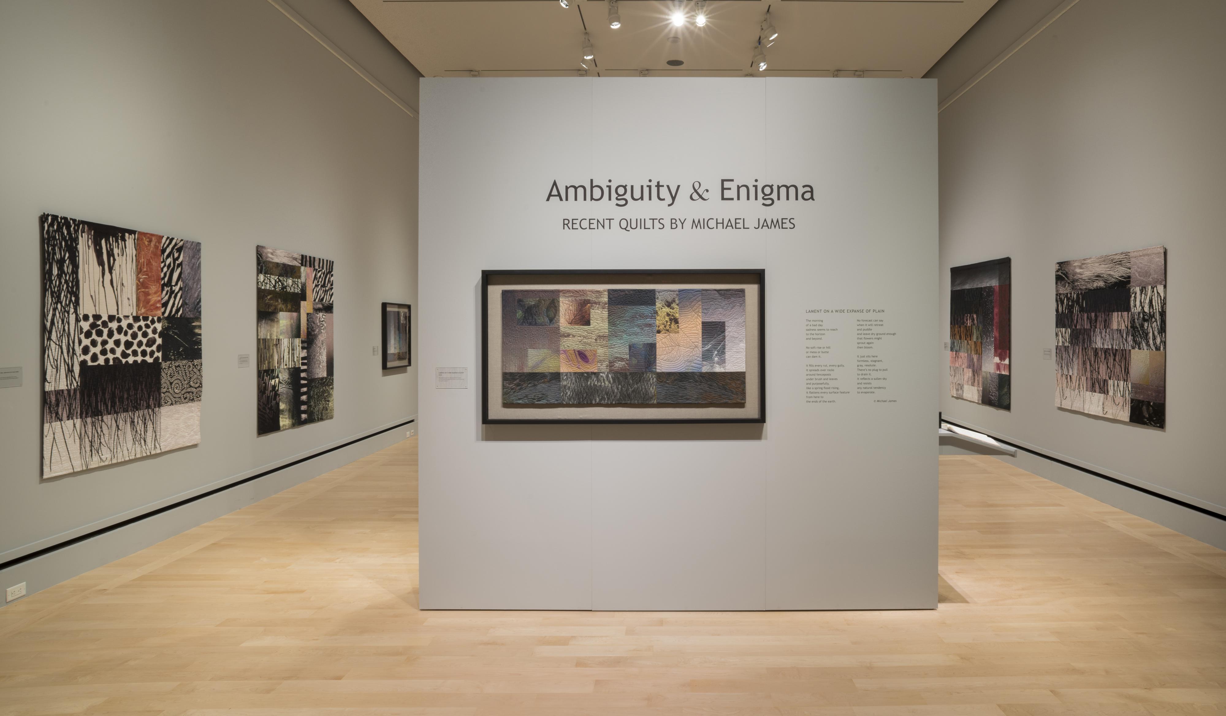 Ambiguity & Enigma: Recent Quilts by Michael James Ambiguity & Enigma: Recent Quilts by Michael James