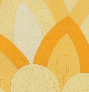 Modern Marvels: Quilts Made From Kits, 1915-1950